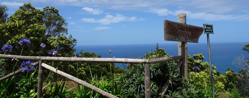 Blomsterön Madeira erbjuder ett mångsidigt landskap och ett behagligt klimat året runt.