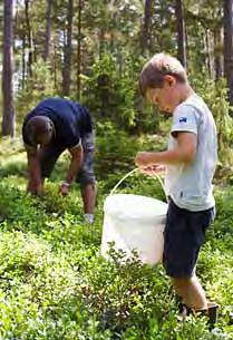 Den gör det möjligt för många människor att ta del av naturen på hemmaplan, utan att ta sig nånstans. I tätorten vistas många människor samtidigt, ibland på trånga ytor.