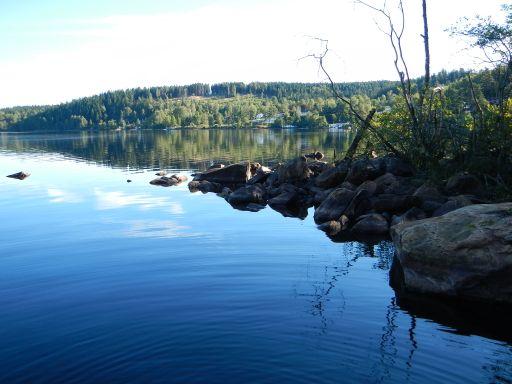 Mölndalsåns vattenråd Biotopkartering av