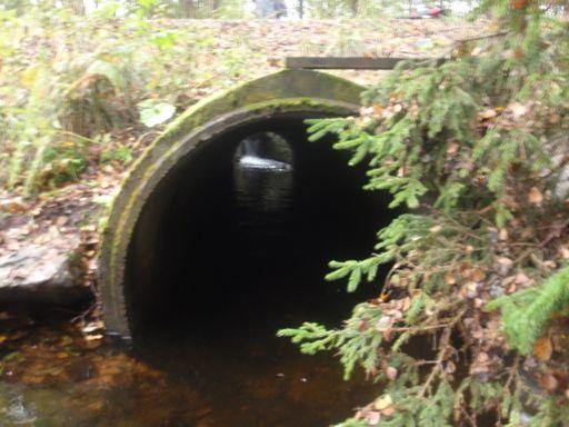 Vandringshinder, vattendrag