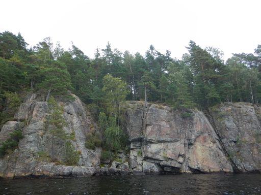 e vegetationstyper som oftast dominerar är gles vass och säv (GOVS) och kortskottsväxter (KNF) och de dominerar på ungefär en tredjedel vardera av strandlinjen (figur 75).