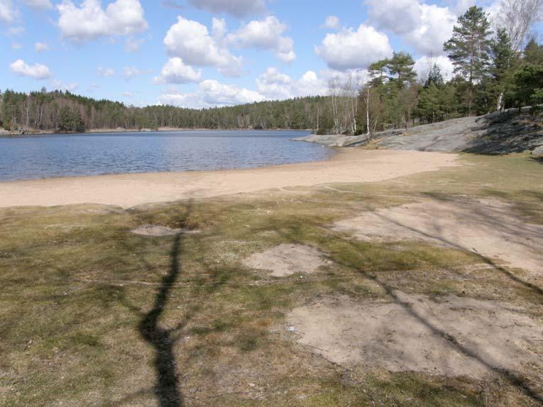 den planerade byggnaden innebär. Genom att ersätta förlorade buskar och träd med holkar ändrar man dock förutsättningarna något för vilka arter som kan utnyttja området.