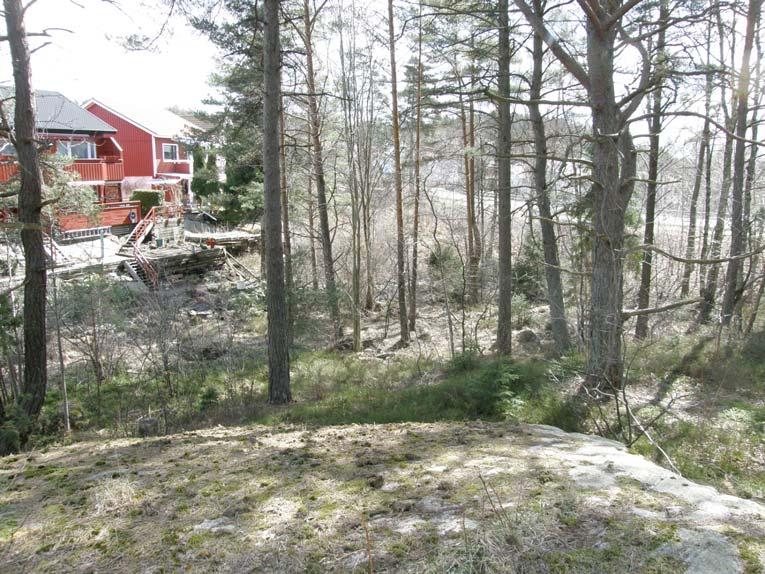 Naturvärdesbeskrivningar Landmiljön Tall och björk dominerar nästan helt. I områdets sydligaste del finns en liten, klenstammig aspdunge med drygt 10 stammar.
