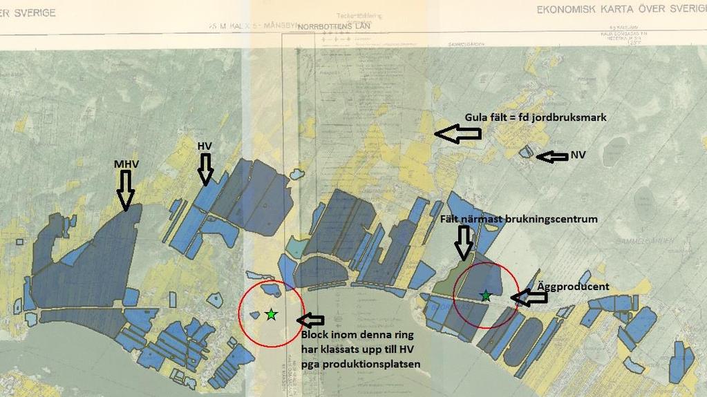 Bilaga 4 Exempel 2. Gammelgården + Björknäs Områdesbedömning och bedömning på skiftesnivå. Området bedöms ha höga värden (HV).