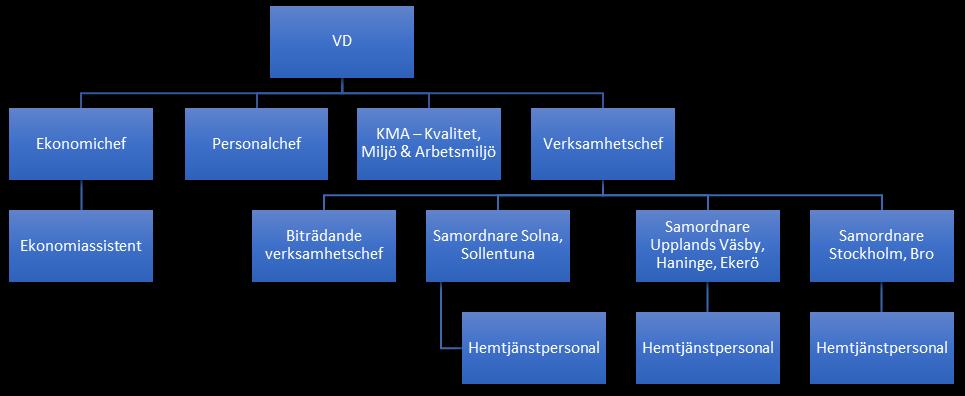 Verksamhetsbeskrivning bedriver verksamhet inom vård och omsorg av äldre och personer med funktionsnedsättning. Proffssystern har lång erfarenhet inom hemtjänst och hushållsnära tjänster.