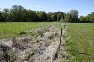 5.5 Landskapsobjekt 4 Typ: småvatten i jordbruksmark Status: Generellt biotopskydd Foto småvatten, landskapsobjekt 4. 6 Referenser: Artdatabanken 2015. Rödlistade arter i Sverige 2015.