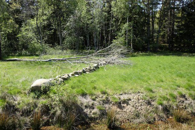 Foto över delområde B:s norra del. Foto över delområde B:s södra del. 4.