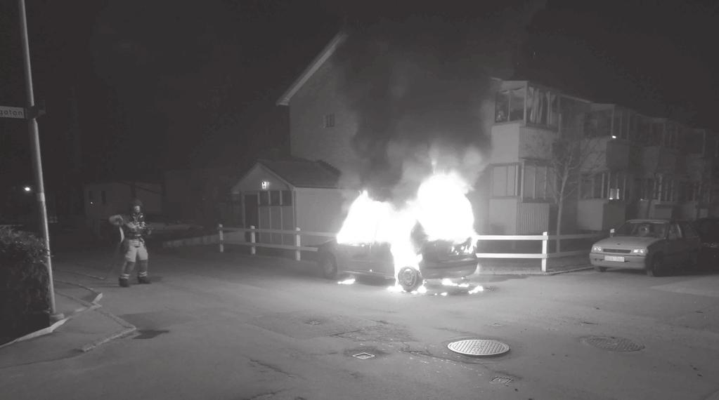 Brand i ormbur på Blekinge exotiska värld i Karlshamn I februari larmades räddningstjänsten till ett automatiskt brandlarm på Blekinge exotiska värld.