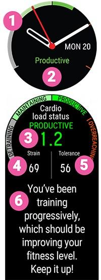 utvecklar eller överbelastar din Hjärtbelastningsstatus. Du får även personlig feedback baserat på din status.