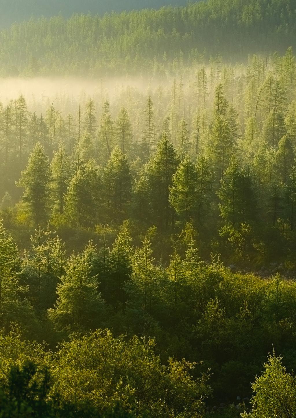 Laminate Flooring EN13329 Emission teed building product Miljömedveten, vacker och slitark det är hållbarhet från Pergo Pergo var det föra laminatgolvet som certifierades med det nordiska miljömärket