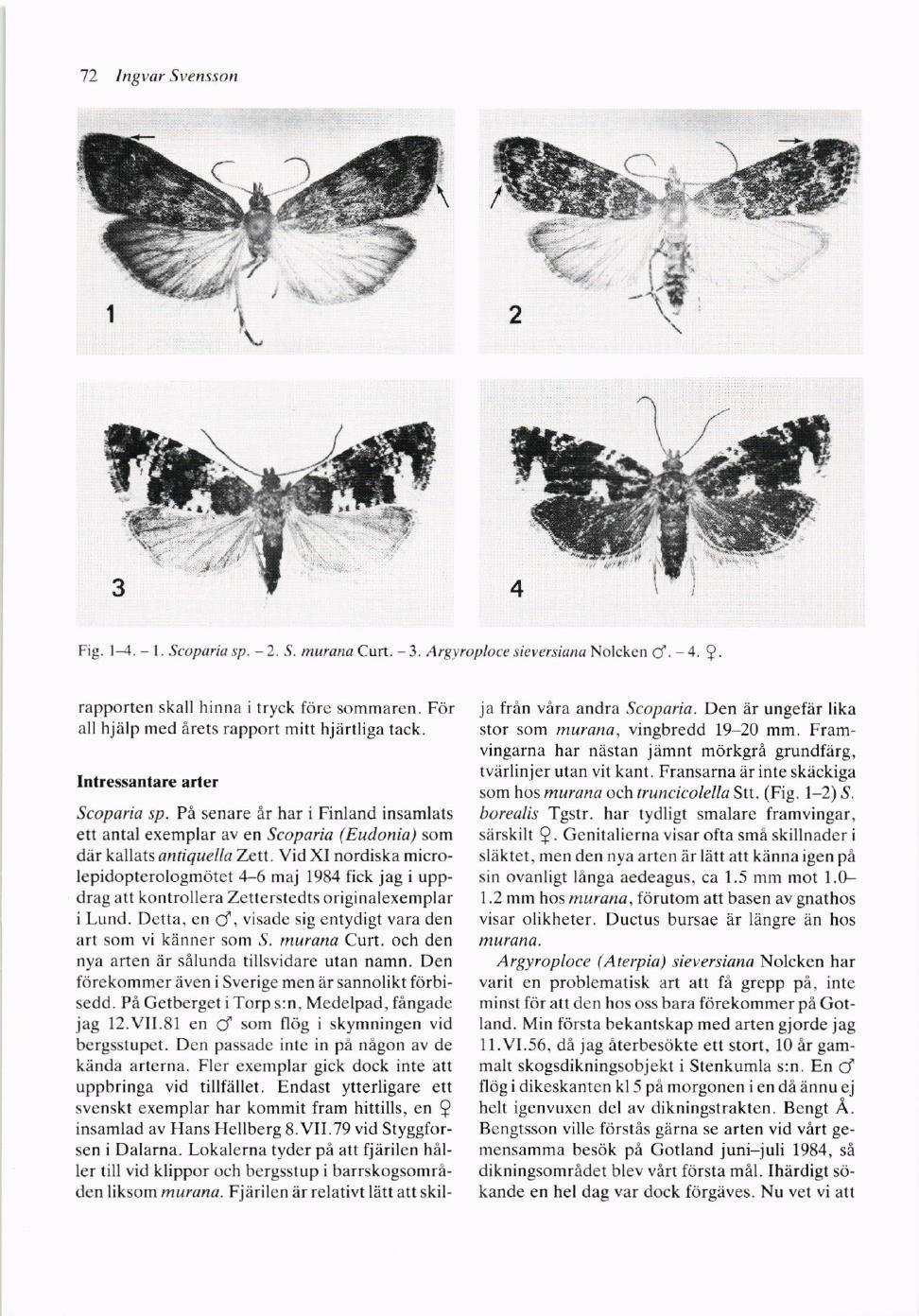 72 lngvar Svensson 2,t:i{. \T Fig. l--1. - l. Scopariu sp. - 2. S. muraru Curt. - 3. Argyropktce sieyersiana Nolckqn d. - 4. 9. rapportcn skall hinna itryck kire sommaren.