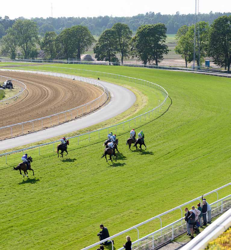 Dagens program 10.00 Grindarna öppnas 10.15 Tipsgenomgång från ledvolten 10.30 Lopp 1, V4-1 NOVISLÖPNING 10.56 Lopp 2, V4-2 BRONSHANDICAP 11.