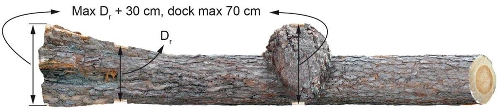 Rotben och annan ojämnhet Stockens största diameter på högkant under bark får inte överstiga rotdiametern ökad med 30 cm eller maximidiametern 70 cm.