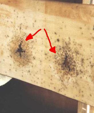 (inom 80 mm diameter) Med skotthål i duken som visas på bilden här under bör gummibandet flyttas minst
