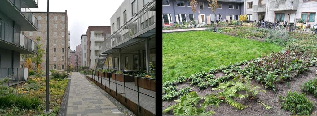 (Bildkälla: Lea Levi) Hus C samt vägen i närheten av det är befintliga och områden i deras närhet planeras inte ändras vid exploatering.