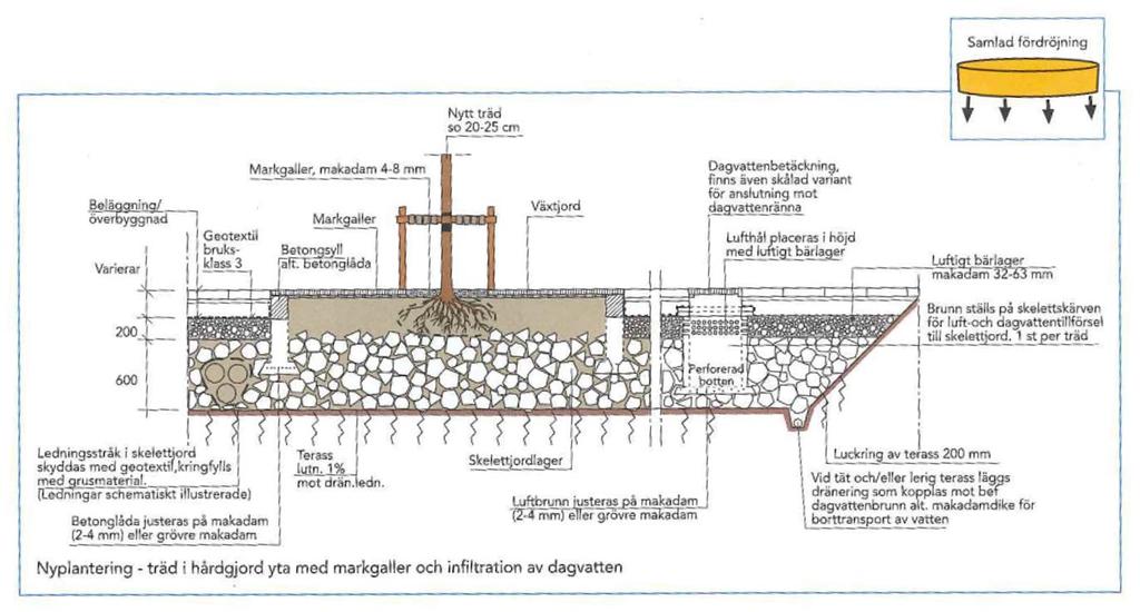 7.2.2 Skelettjord Som en fördröjnings- samt reningsåtgärd vid nya parkeringarna i område 2 (Figur 21) föreslås skelettjordar.