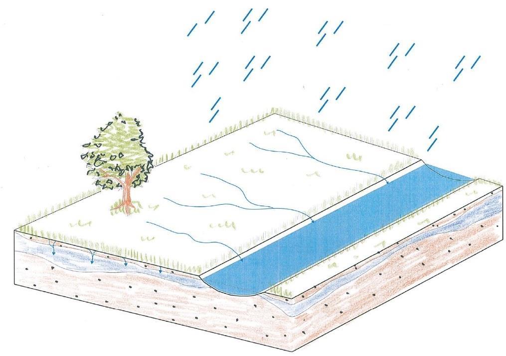 Figur 7. Illustration vegetationsyta och svackdike. Parkeringar, vägar och järnväg Dagvatten från parkeringsytor inom området ska avledas till intilliggande grönytor och/eller svackdiken.