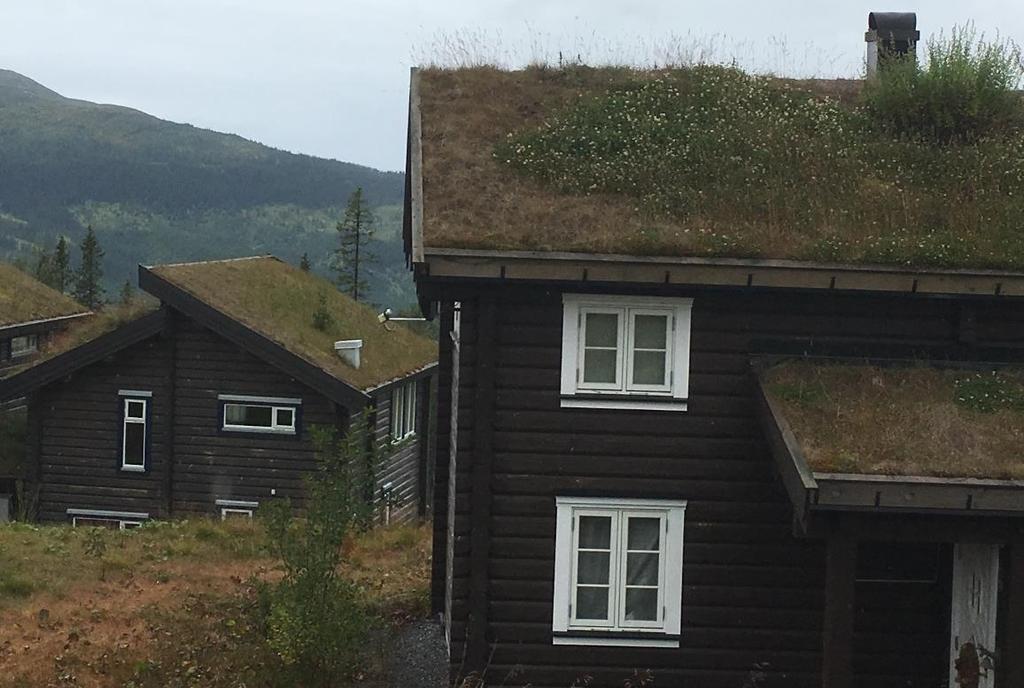 Figur 12. Gröna tak i fjällmiljö. Drift och skötsel För samtliga dagvattenåtgärder är det viktigt att skötselplaner upprättas.