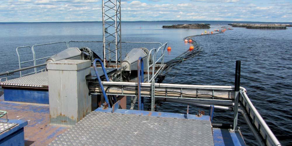 Datastyrt automatiserat utfodringssystem i en odling med öppna kassar. Foder i fodersilos under luckorna förs vidare via fördelaren och slangar till varje enskild kasse.