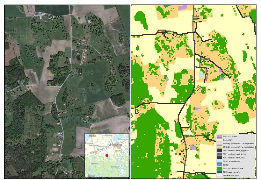 LANTMÄTERIET, GEODATASAMVERKAN när tidpunkten för laserscanningen är innan lövsprickning kan andelen skog bli underskattad i rena lövbestånd. Figur 8.