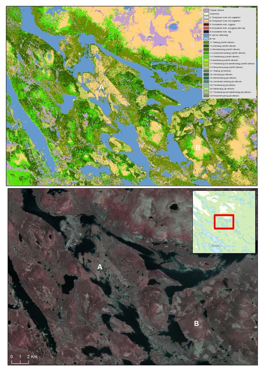 Figur 9. Äldre hyggen med ingen/dålig återväxt (< 5 m) kan bli annan öppen mark. Detta problem är av naturliga skäl störst på lågproduktiv skogsmark och förekommer främst i region D och E.