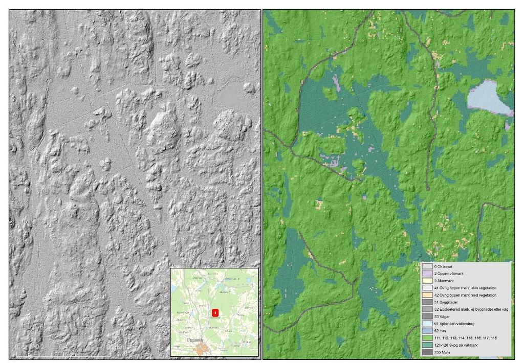 Figur 11. NMD ger en överskattning av skog på våtmark när marken dikats för att anpassas till skogsbruk. Dikningar syns ofta i laserdata (bilden till vänster). 3.4.2.1.2 Trädslag Trädslag särskiljs i sju klasser inklusive blandklasser.