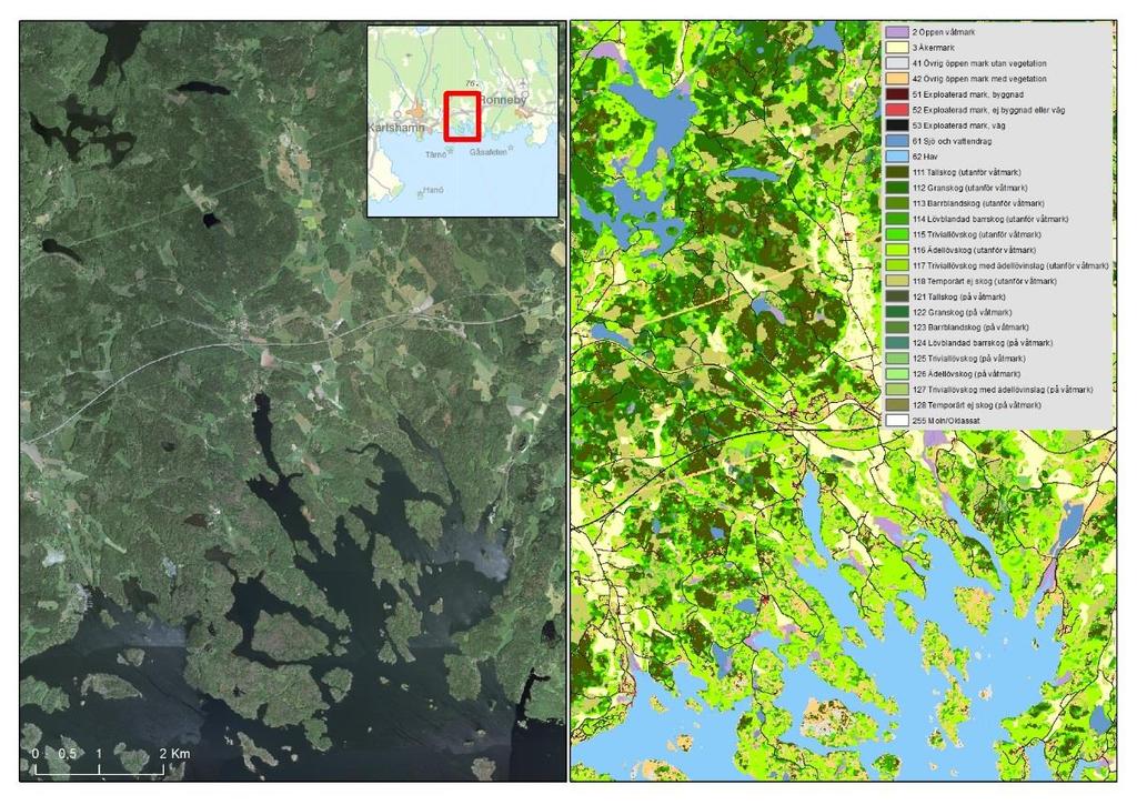 LANTMÄTERIET, GEODATASAMVERKAN Figur 12. NMD ger en bra representation av trädslagsfördelningen på landskapsnivå.