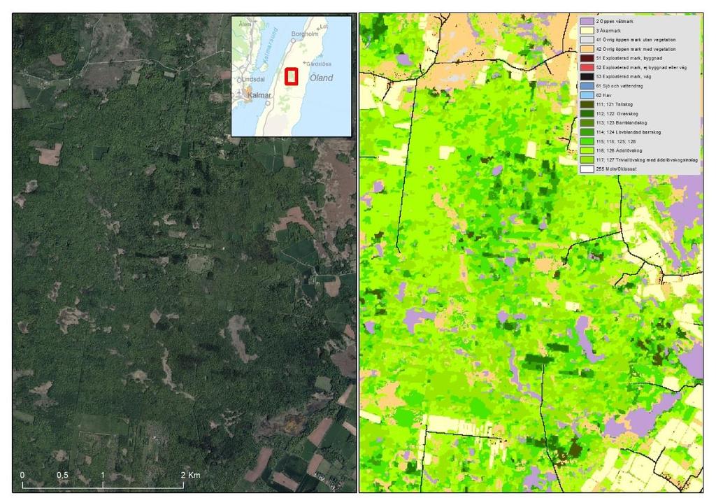 LANTMÄTERIET, GEODATASAMVERKAN Figur 15. Exempel på svårkarterade områden med en stor sammanblandning mellan trivial och ädellövskogar finner man på Öland.