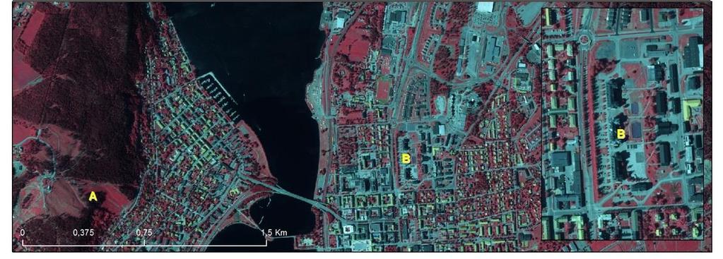 På grund av tillfälligt vegetationsfria ytor vid tillfället för satellitdataregistreringen kan Övrig öppen mark med vegetation bli felaktigt klassade som Övrig öppen mark utan vegetation.