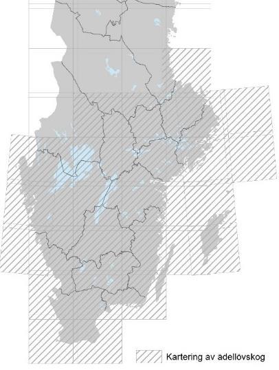 Bilaga 3: Insamlingsmetod Skog (klassgrupp 1) Skog definieras som trädbeklädda områden med trädhöjd på över 5 meter och en krontäckning på mer än 10 procent, eller träd som kan nå dessa värden.