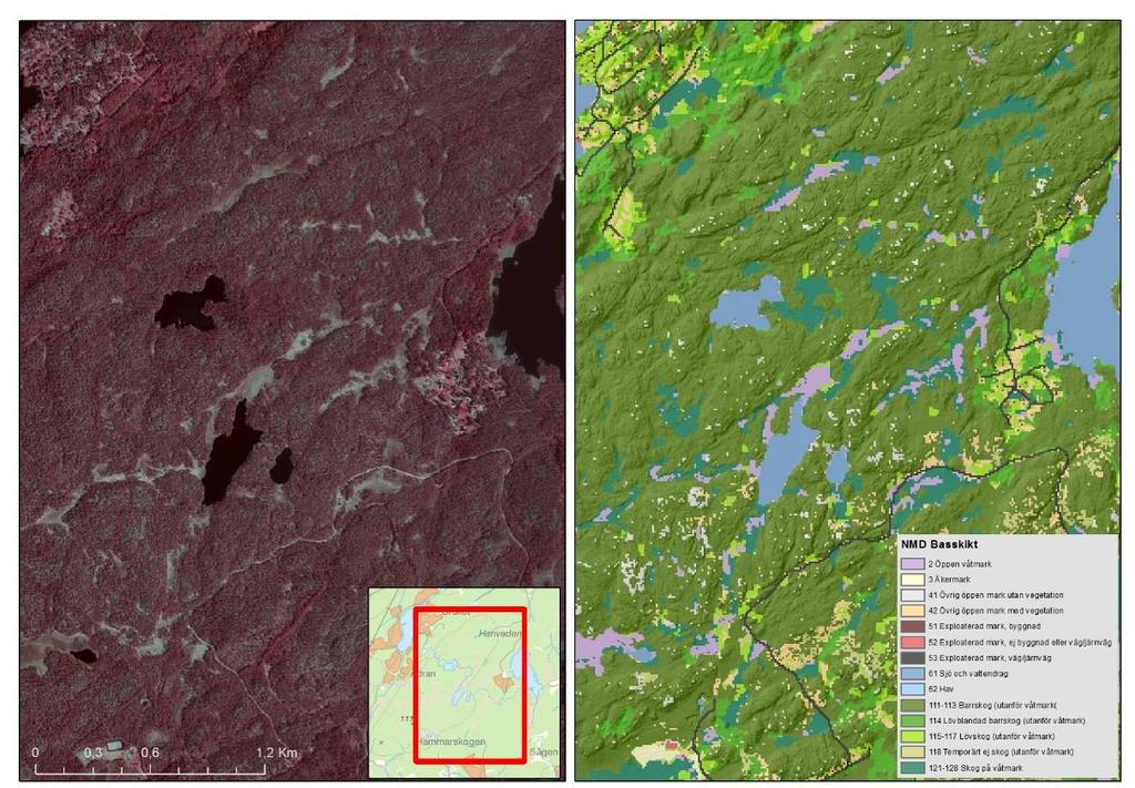 LANTMÄTERIET, GEODATASAMVERKAN Figur 42. Infrarött ortofoto och NMD basskikt.
