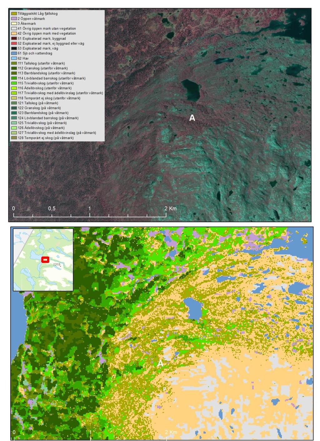 Figur 47. Exemplet ovan visar del av norra Jämtland där tilläggskiktet Låg fjällskog kompletterar basskiktet och bidrar med information om fjällskog med en höjd på 2-5 meter.