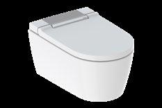 duscharmsposition Reglerbar temperatur på duschstrålen Oscillerande duschstråle Ladydusch WC-sitsuppvärmning Varmluftstork Luktutsugningsenhet Beröringsfri automatisk mekanism för WC-locket