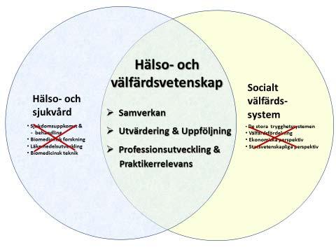 Bilaga 4.2 delaktighet, aktivitet och egenvård. Utvärdering och uppföljning är en alltför ofta försummad aspekt och en bärande del för evidensbasering.