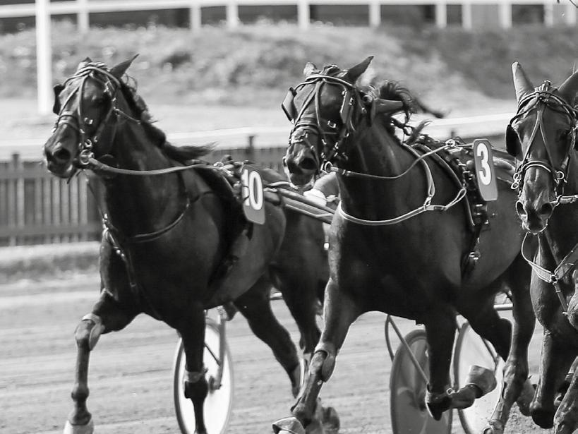 Midsommartravet en folkfest LEDARE Våra samarbetspartner ikväll är mesläp, Holmströmmarna, Norran, den Energi, Sulkysport, Dahlgrens Cementgjuteri, Abbes A, Scandic Hotel, Ivab, Miljöstäd, Säterhill
