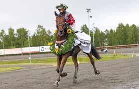 SKELLEFTEÅ // mesläpet Midsommardrömmen Montélopp M VOLTSTART åriga och äldre.. kr. Körsvenskrav kat.. m. Monté. Voltstart. Pris:...(.)(.) kr. START. Hederspris till segrande hästs ägare och ryttare.