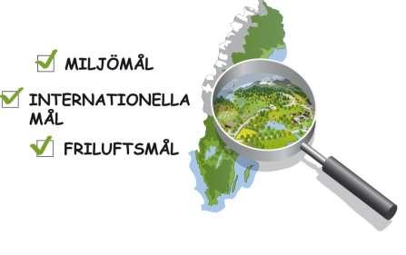 program Regionala handlingsplaner för GI