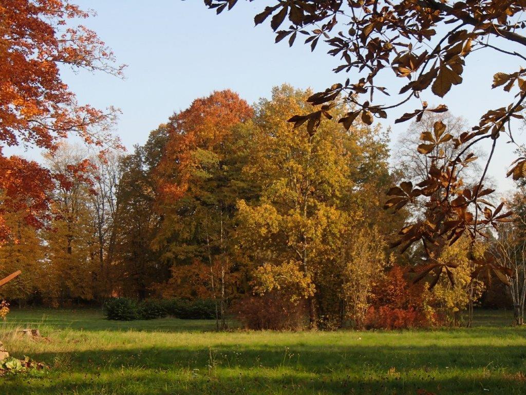 Höst i