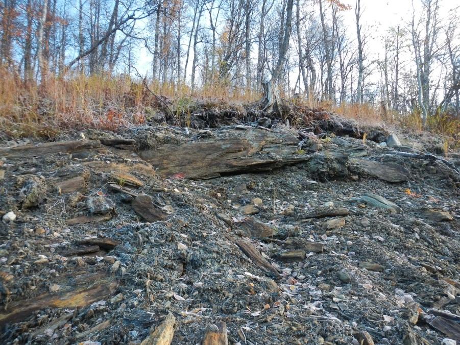 Figur 9 Berg finns synligt i det avskärande diket, öster om planområdet. Grundvattennivån bedöms ligga högt i området ovan aktuellt planområde, ca 0,0 1,5 m under befintlig markyta.