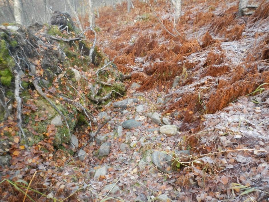 Figur 7 Ytligt i moränen finns rikligt med finblock.