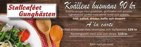 ande hästar Aalto Above Angel 6 Absolute Speed Alfas Ippon Alva Maple 8 American Aent 6 Andy Pandy Arn de Ca