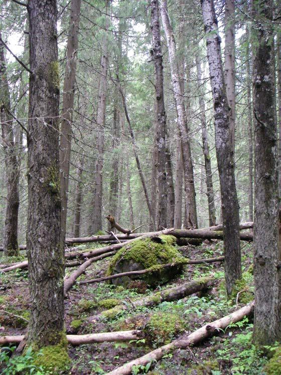 Beslut Datum 2015-06-08 511-8195 - 14 Dnr (anges vid skriftväxling) 1 / 11 Enligt sändlista Beslut för bildande av Storflobergets naturreservat Uppgifter om naturreservatet Naturreservatets namn: