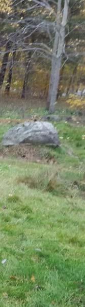 De sökte efter e naturliga lekplatserr med motoriska utmaningar som balans, klättring eller kuperade stigar.