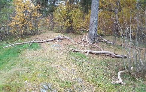 Detta betyder att barn kommer fortsätta besöka parken oavsett om förskolorna Albatrossen eller Falken skulle välja andra skogar att besöka.
