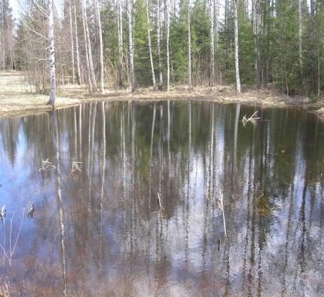 Olika perspektiv på natur- och Allt är värdefullt och bör bevaras Utgångspunkt i projektet inte i landskapet