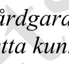 fysioterapeut/sjukgymnast.
