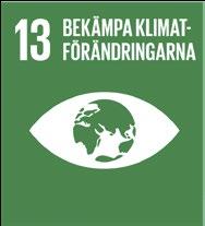 GLOBALA MÅLEN: HÅLLBAR AFFÄRSUTVECKLING Mål 13 handlar om att bekämpa klimatförändringarna. Här sker bidraget främst inom fokusområdet Hållbar affärsutveckling där LED-teknologin spelar en stor roll.