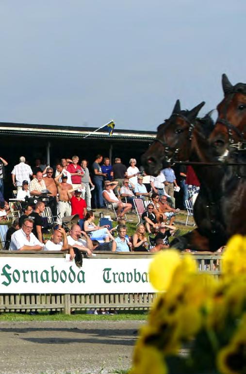 STARTANMÄLNINGAR MAJ 28 tisdag Bollnäs, Färjestad, Hagmyren, Hd, J, Sk 29 onsdag Gävle, Romme, Solvalla, Vaggeryd, Åby 30 torsdag 31 fredag Boden, Kalmar, Lindesberg JUNI 1 lördag 2 söndag Östersund