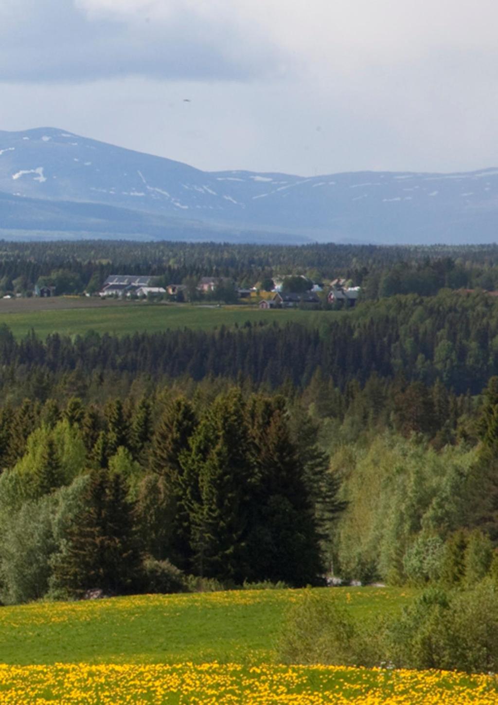 4 VD ord 5 Förvaltningsberättelse 8 Resultaträkning 9 Balansräkning 11 Kassaflödesanalys