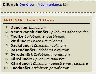 Dunörter Epilobium Kan vara